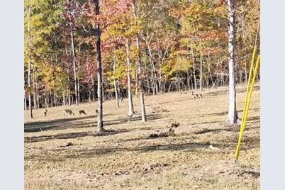 0 Melson Road, Cave Spring, GA 30124 - Photo 2