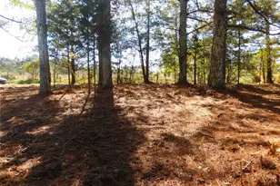 1101 Boswell Rd, Union Point, GA 30669 - Photo 26