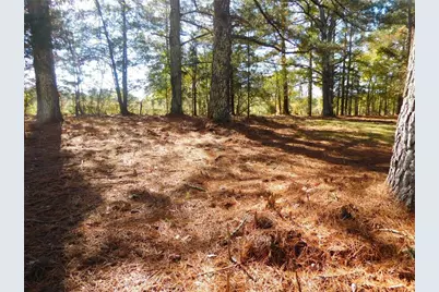 1101 Boswell Road, Union Point, GA 30669 - Photo 58