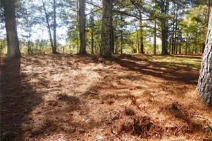 1101 Boswell Rd, Union Point, GA 30669 - Photo 58