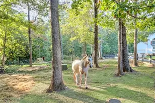 2203 Arbor Hill Rd, Canton, GA 30115 - Photo 20