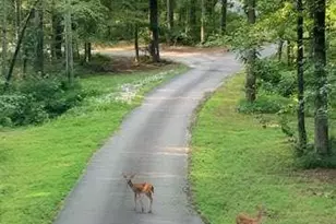 7350 Banks Mill Rd, Douglasville, GA 30135 - Photo 24