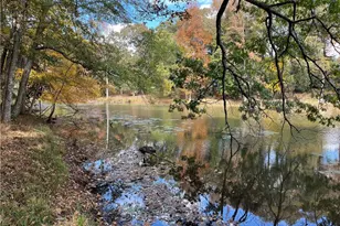 159 May Ln, Zebulon, GA 30295 - Photo 116