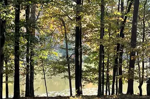 159 May Ln, Zebulon, GA 30295 - Photo 118