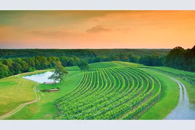 42 Rustin Ridge #285, Dahlonega, GA 30533 - Photo 42