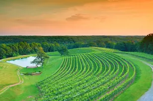 42 Rustin Ridge, Dahlonega, GA 30533 - Photo 42