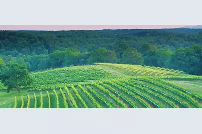 42 Rustin Ridge #285, Dahlonega, GA 30533 - Photo 44