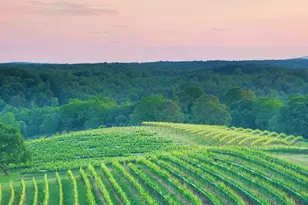 42 Rustin Ridge, Dahlonega, GA 30533 - Photo 44