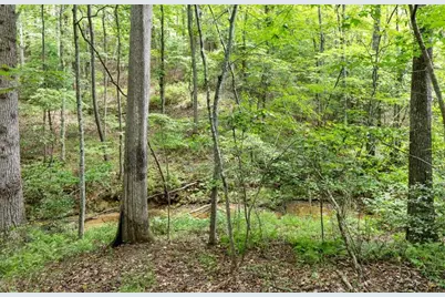 120 Brookhaven Trail, Blue Ridge, GA 30513 - Photo 88