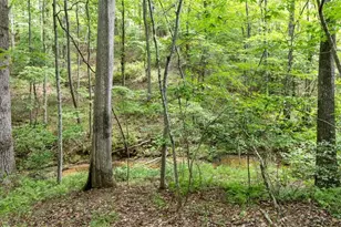 120 Brookhaven Trl, Blue Ridge, GA 30513 - Photo 88