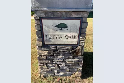 1869 Dalton Way, Hampton, GA 30228 - Photo 22