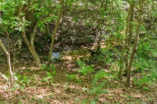 382 Candler Ln, Dawsonville, GA 30534 - Photo 40