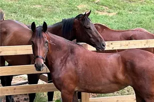 1654 A Ward Mountain Rd, Rome, GA 30161 - Photo 46