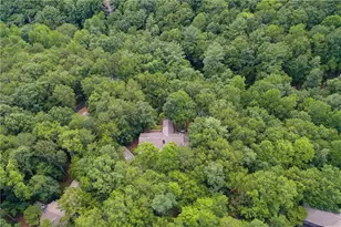 369 Indian Pipe Dr, Jasper, GA 30143 - Photo 62