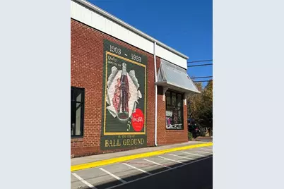 286 Lowry Street, Ball Ground, GA 30107 - Photo 24