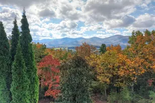 823 Arrant Rd, Blairsville, GA 30512 - Photo 8