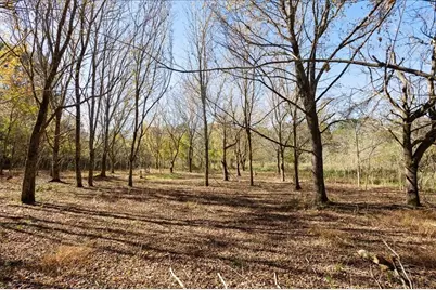 7141 Heardsville Road, Cumming, GA 30028 - Photo 14