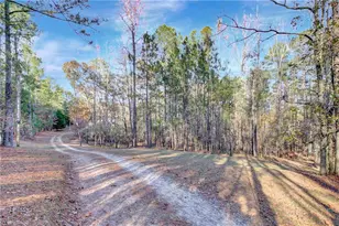 10185 Henry Mill Rd, Chattahoochee Hills, GA 30213 - Photo 40