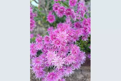 1615 Waverly Glen Drive, Alpharetta, GA 30004 - Photo 58