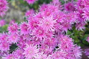 1615 Waverly Glen Dr, Alpharetta, GA 30004 - Photo 58