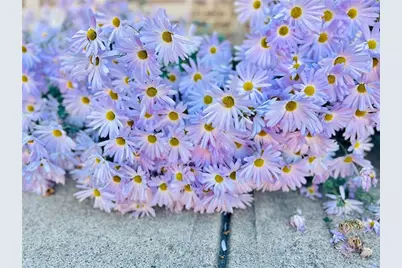 1615 Waverly Glen Drive, Alpharetta, GA 30004 - Photo 56