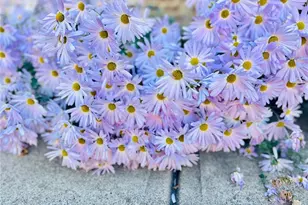 1615 Waverly Glen Dr, Alpharetta, GA 30004 - Photo 56