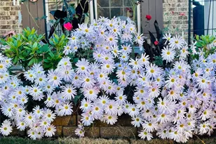 1615 Waverly Glen Dr, Alpharetta, GA 30004 - Photo 54