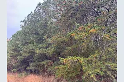 0 Moran Lake Road, Rome, GA 30165 - Photo 4