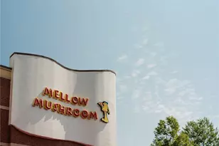 629 Silva St, Cumming, GA 30040 - Photo 52