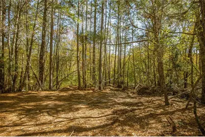 335 Wages Road, Auburn, GA 30011 - Photo 24