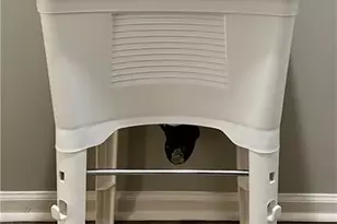 11175 Linbrook Ln, Johns Creek, GA 30097 - Photo 18