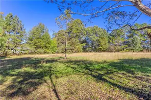 3919 McCullers Rd, Loganville, GA 30052 - Photo 28