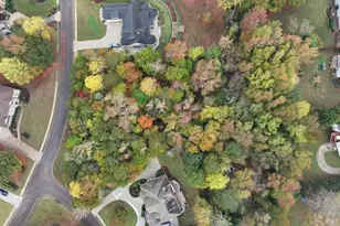 951 Ardmore Tr, Hoschton, GA 30548 - Photo 6