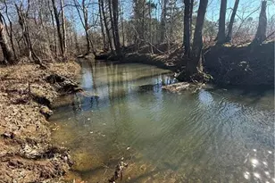 2053 Buttermilk Rd, Cave Spring, GA 30124 - Photo 52