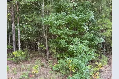 Tk 9 Old Ridgeway Road, Bremen, GA 30110 - Photo 1