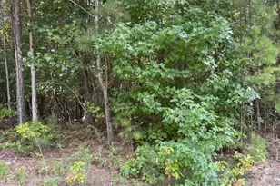 Tk 9 Old Ridgeway Rd, Bremen, GA 30110 - Photo 1