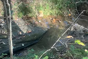 616 Gibson Trail, Jasper, GA 30143 - Photo 12