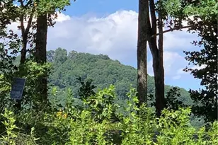 2046 Amy Creek Cir, Ellijay, GA 30540 - Photo 1