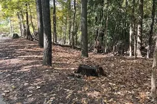 18 W Wesley Ridge, Atlanta, GA 30327 - Photo 4