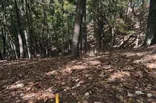 18 W Wesley Ridge, Atlanta, GA 30327 - Photo 8