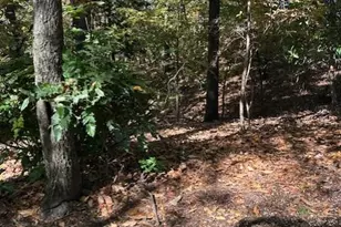 18 W Wesley Ridge, Atlanta, GA 30327 - Photo 2