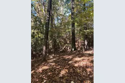 18 W Wesley Ridge, Atlanta, GA 30327 - Photo 10