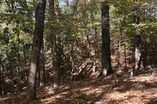 18 W Wesley Ridge, Atlanta, GA 30327 - Photo 10