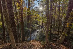 479 Bradshaw Ln, Canton, GA 30115 - Photo 44