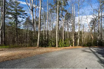 84 Spiva Cove Mtn. Trail, Blairsville, GA 30512 - Photo 10