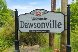 94 Hughes Pl Dr, Dawsonville, GA 30534 - Photo 44