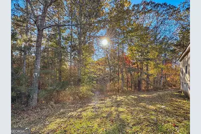 230 Surrett Road, Buchanan, GA 30113 - Photo 18