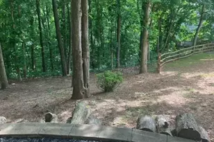 647 Philadelphia Dr, Jasper, GA 30143 - Photo 58