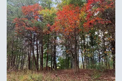 374 Nomad Court, Ranger, GA 30734 - Photo 4