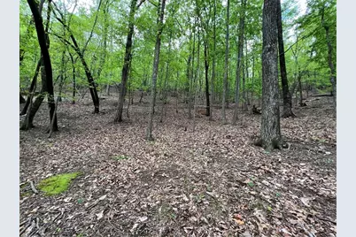 387 Windflower Drive, Big Canoe, GA 30143 - Photo 4